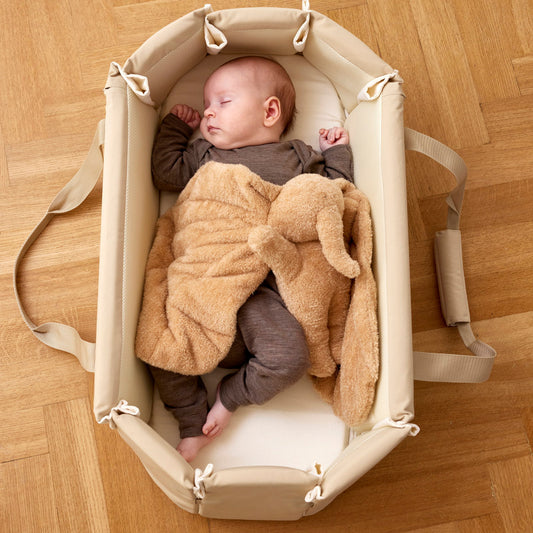 Carrycot Baby Nest – Die smarte Babytragetasche für sicheren Schlaf zuhause & unterwegs