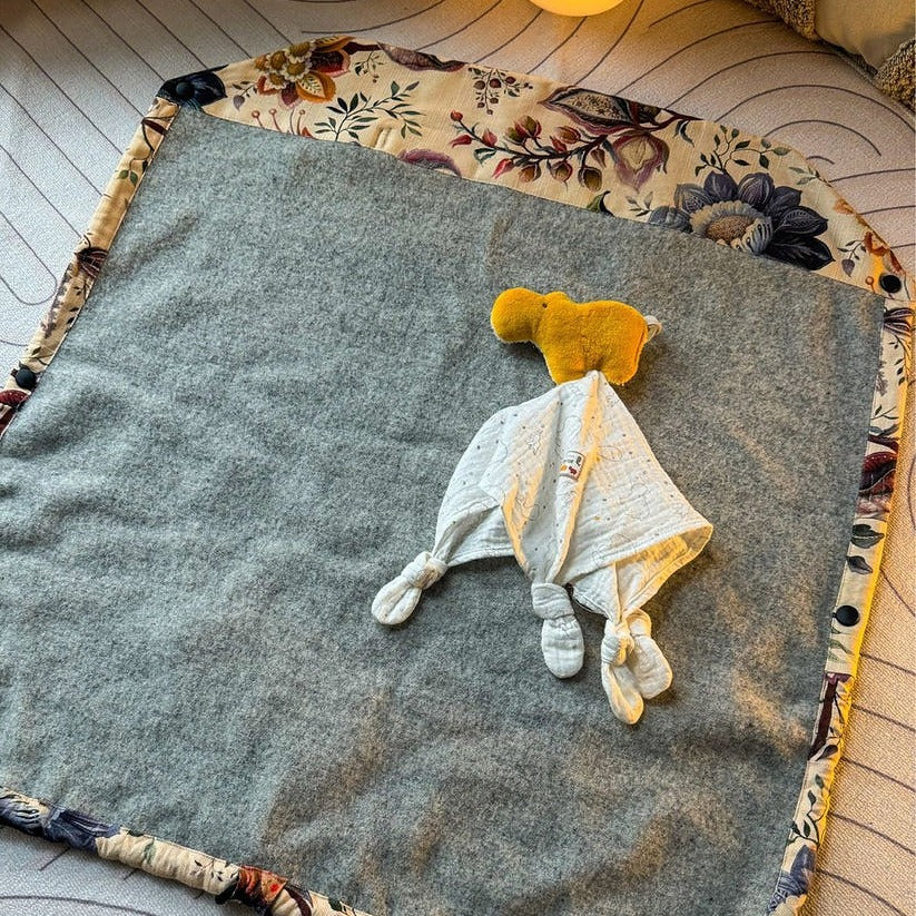 LELY - Der Vielseitige